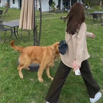最后的